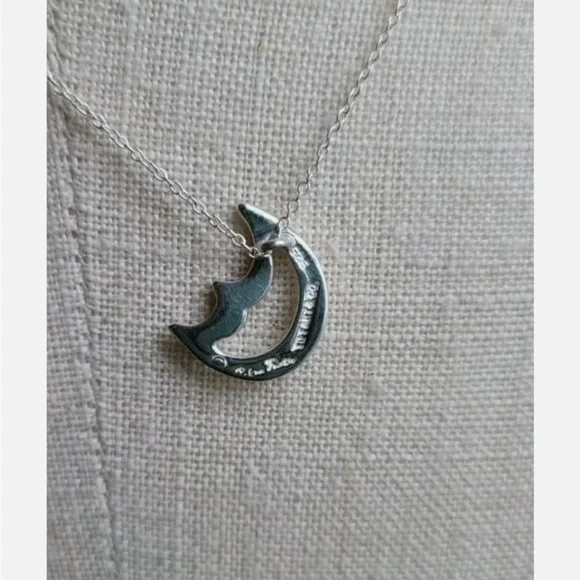 Tiffany & Co. Silver Moon Necklace - Picture 11 of 11